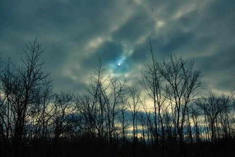 Sun and Silhouetted Trees Stock Photos