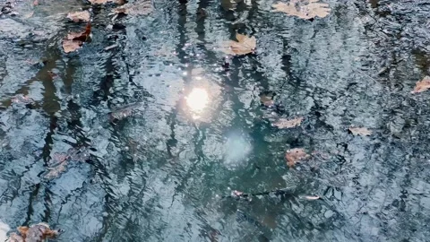 The sun and the sky are reflected in a puddle on the surface of which falle.. Stock Footage 235516819