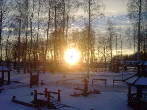 SUN and trees Stock Photos