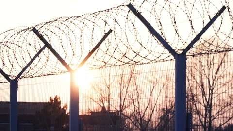Sun and trees through metal fence with barbed wire. Guardrail, jail, restraint Stock Footage