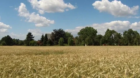 The sun and the wind. Stock Footage 91253560