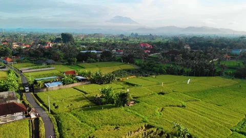 Sun Appears over Rice Fields, Aerial, Bali Stock Footage 147296040