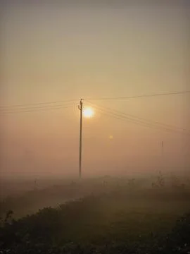 Sun in the background 库存照片