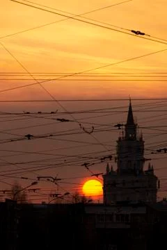 The sun on the background of wires Stock Photos