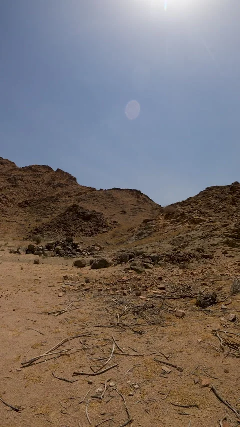 Sun-baked Mountain Desert and Scattered Twigs Vídeo Stock 320458281