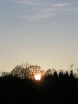 SUN-BALL  looking through the trees Stock Photos