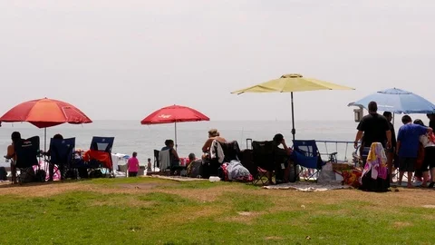 Sun Bathing on a Summer Day Video stock 78078327