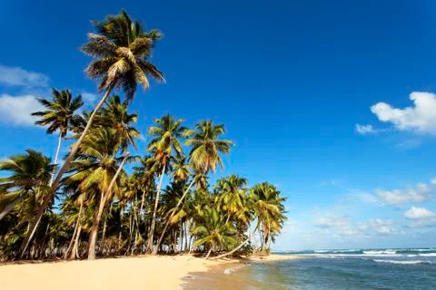 Sun on the beach Stock Photos