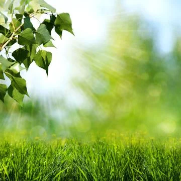 Sun beam. abstract spring and summer backgrounds Stock Illustration