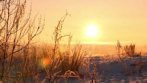 Sun beam go down on snowy field. Pan shot with beautiful red sunset background Video stock 74734433