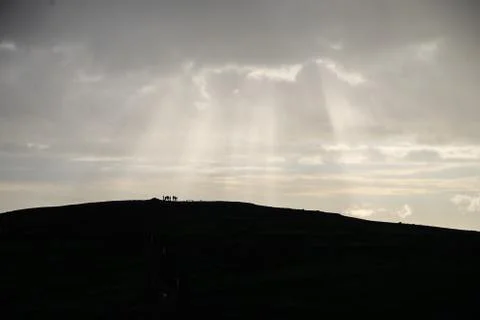 Sun beam on people Stock Photos