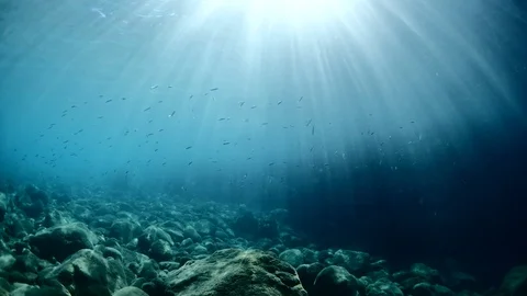 Sun beam ray and shine underwater under boat fish around and scuba divers Stock Footage 117637731