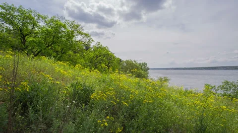 Sun Beam In Spring Forest, Shot Slider Stock Footage 37767443