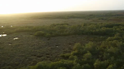 Sun Beaming on Everglades Vídeos de archivo 26737982