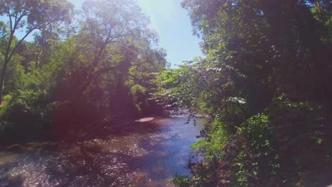 Sun beaming through on a river Stock Footage 141888750