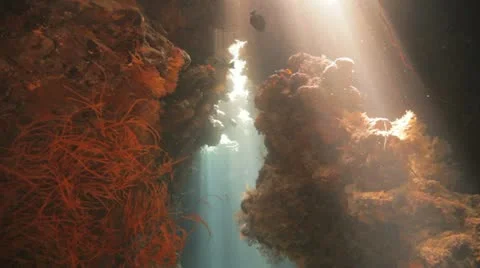 Sun beams inside the cave Vídeos de archivo 22643193