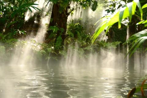 Sun beams Stock Photos