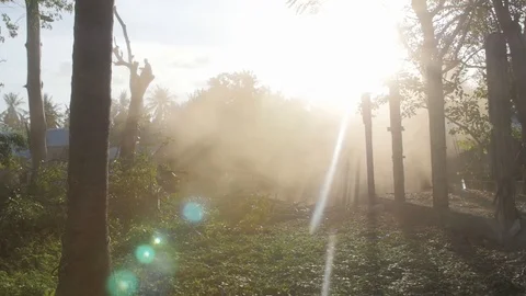 Sun beams shining through a dust cloud Stock Footage 93782766