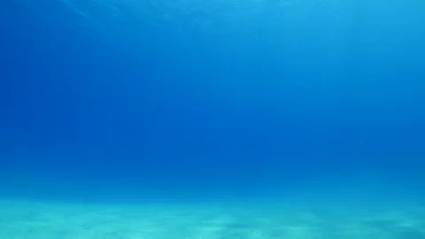 Sun beams sun rays sun shine underwater nice light slow moving at the  bottom Stock Footage 335960399