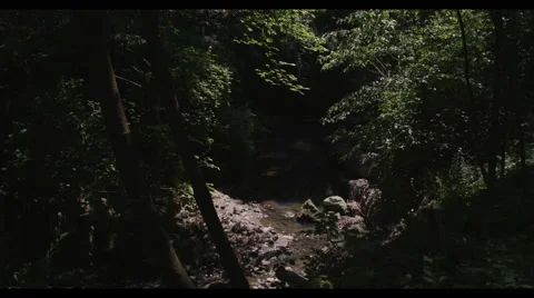 Sun beams through trees into quiet rocky stream Vidéo 57112803