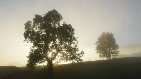 Sun beams time lapse Stock Footage 42766030