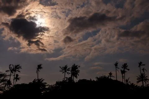 Sun in a beautiful sky with clouds over the palm trees of Bali, Indonesia 写真素材
