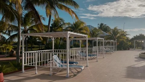 Sun beds on the background of palm trees. caribbean landscape Stockbeeldmateriaal 255485167