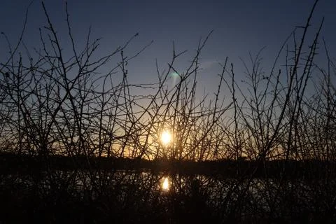Sun behind the branches Stock Photos