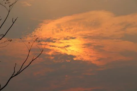 Sun behind cloud and dry branches of tree, orange and gray sky background. Stock Photos