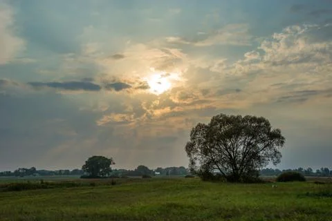Sun behind the clouds and a big tree in the meadow Stock Photos