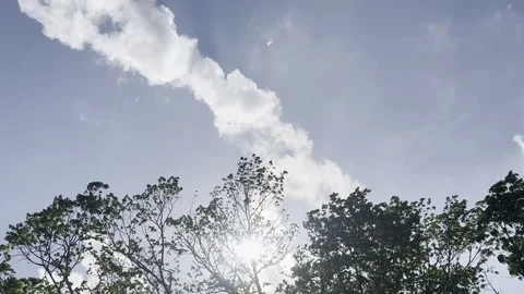 Sun Behind Clouds and Tree Line Stock Footage 345515145