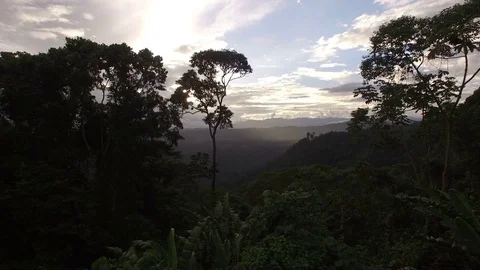 Sun Behind Clouds and Trees Stock-Footage 74357386