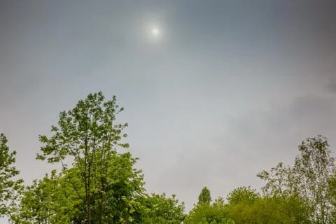 The sun is behind gray clouds. Green trees. Stock Photos