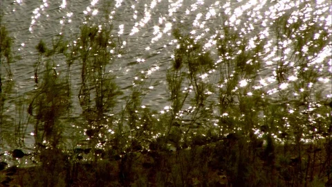 Sun behind grey cloud in sky Video stock 95600688