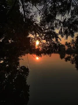The sun from behind the leaves Stock Photos