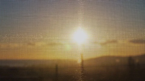 The sun behind the mosquito net Video stock 103266698
