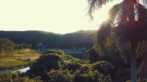 Sun behind the palmtree Stock Footage 100757360