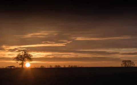 The sun is behind a silhouette of a bare tree Stock Photos