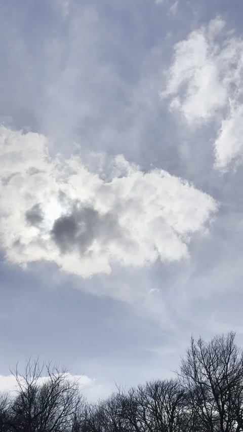 Sun Behind Textured Clouds Above Bare Trees Video stock 344883631