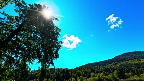 Sun behind a tree with blue sky and green hills Stock Footage 316172663