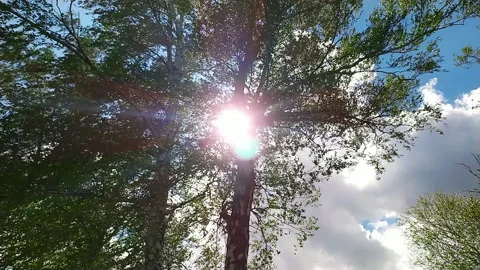 The sun behind a tree hiding behind the clouds through the bokeh transition Video stock 131041372