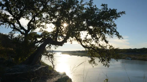 Sun Behind Tree, Pace Bend Park, Lake Travis Austin 6642 스톡 동영상 39740955