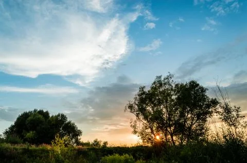Sun behind the tree Stock Photos