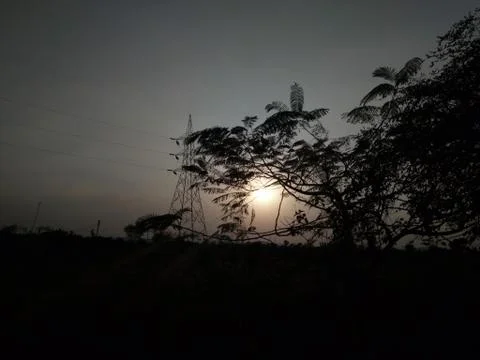 Sun Behind a tree Stock Photos