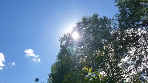 Sun behind the tree in the summer 스톡 동영상 108996191