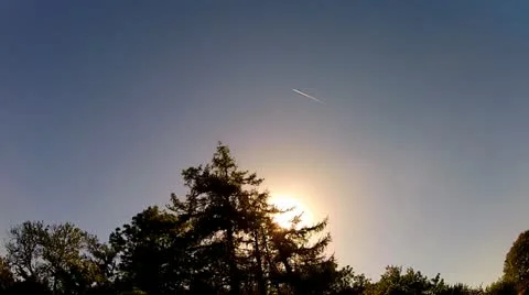 Sun Behind Trees With Blue Sky and Contrail Stock Footage 12143639
