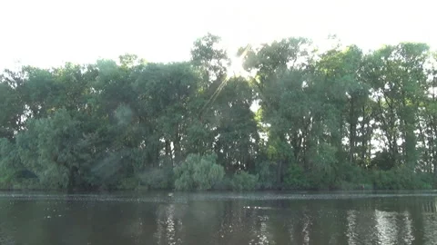 The sun behind the trees 스톡 동영상 90783329