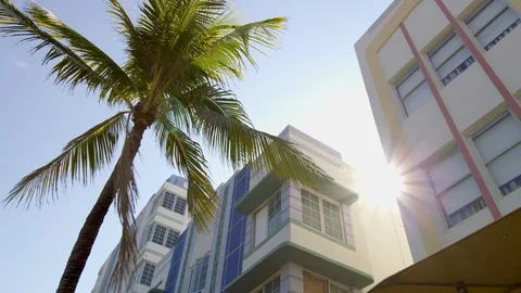 Sun being revealed behind palm tree and Art Deco buildings in Miami Beach Stock Footage 127052272