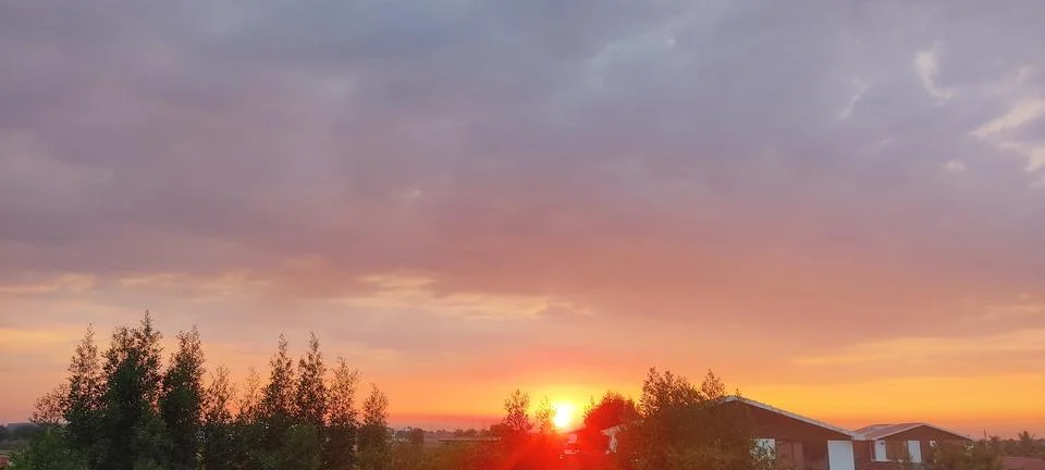 Sun between the trees Stock Photos