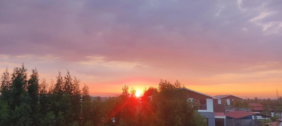 Sun between the trees Stock Photos